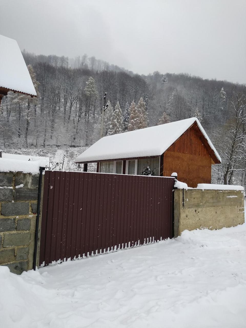 Карпатські Ночі Apartment Yaremche Exterior photo